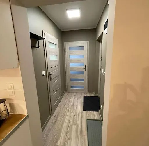 Cyprysowa Fine * Varsó